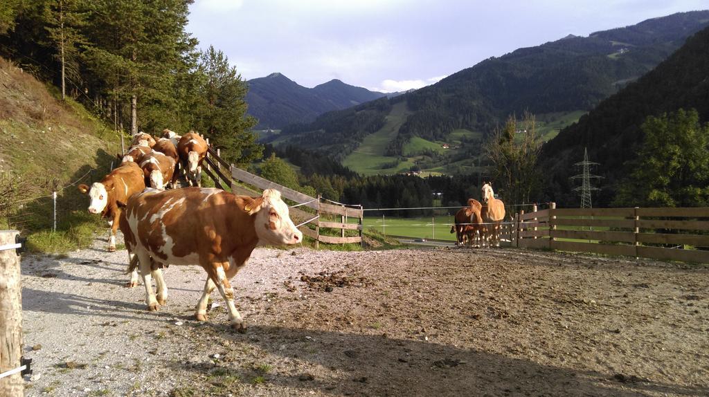 Saumerhof Schladming Ngoại thất bức ảnh