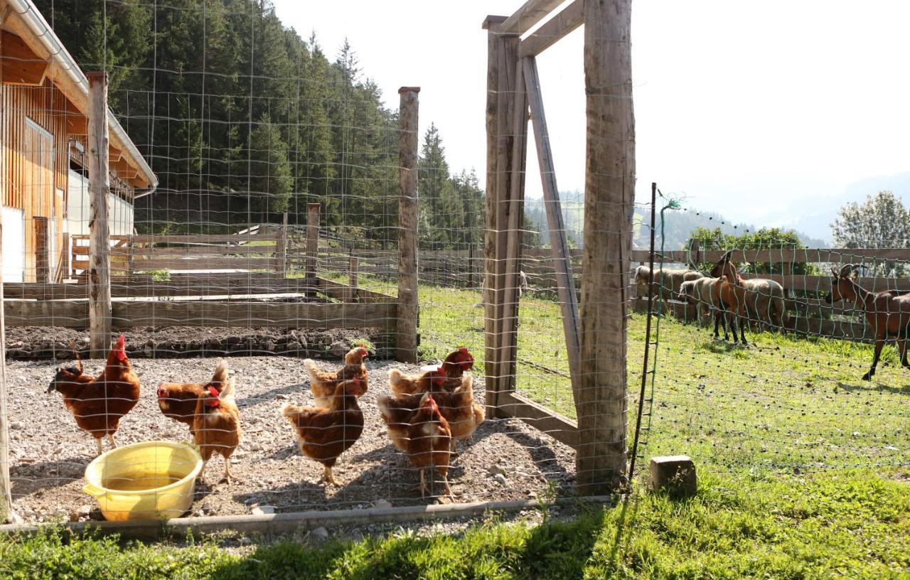 Saumerhof Schladming Ngoại thất bức ảnh